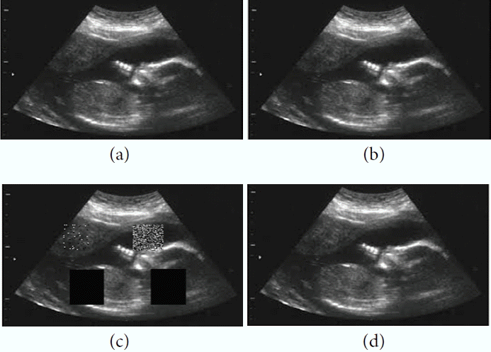 Fig. 8
